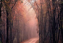 韦恩·鲁尼宣布退役，结束国家队生涯