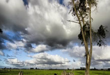 尼克斯老板因言论引发争议被罚款