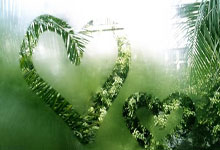 曼联不敌切尔西，争冠形势颓势